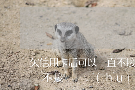 欠信用卡后可以一直不接電話嗎-欠信用卡錢不接電話會(huì)怎么樣