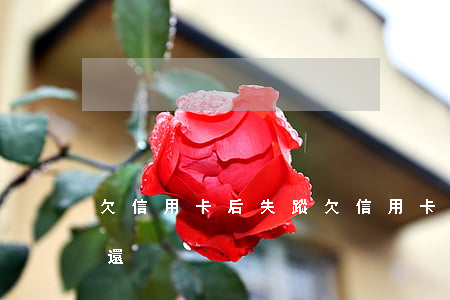欠信用卡后失蹤(欠信用卡款的人失蹤了怎么還)