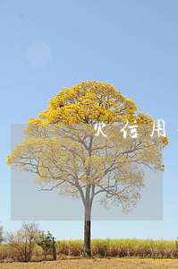 欠信用卡后注销户口(欠信用卡后注销户口)