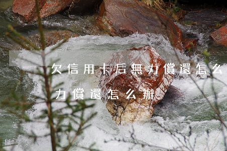欠信用卡后無力償還怎么辦(欠信用卡實在無力償還怎么辦)