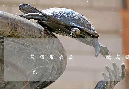 欠信用卡后積極還款 欠信用卡后積極還款怎么辦