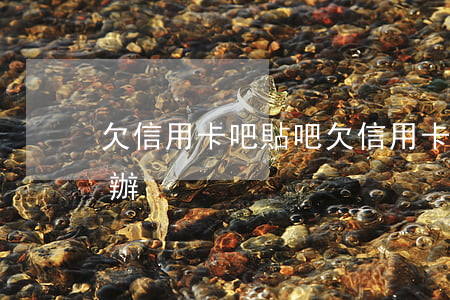 欠信用卡吧貼吧(欠信用卡還不上天天催怎么辦)