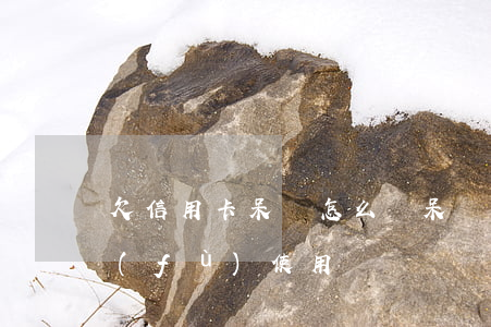欠信用卡呆賬怎么辦(呆賬的信用卡可以恢復(fù)使用嗎)