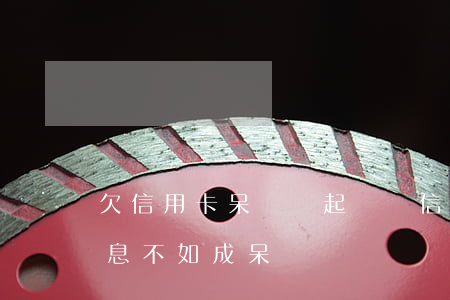 欠信用卡呆賬會起訴嗎（信用卡與其逾期還利息不如成呆賬）