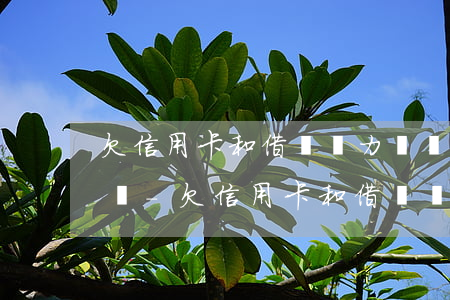 欠信用卡和借唄無力償還會(huì)怎么樣-欠信用卡和借唄無力償還會(huì)怎么樣嗎