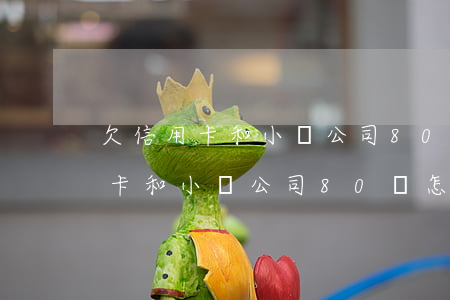 欠信用卡和小貸公司80萬怎么辦-欠信用卡和小貸公司80萬怎么辦呢