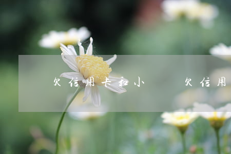 欠信用卡和小貸錢(欠信用卡和小貸錢)
