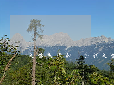 欠信用卡和小贷钱(欠信用卡和小贷钱)