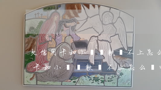 欠信用卡和小額貸款還不上怎么辦-欠信用卡和小額貸款還不上怎么辦呢
