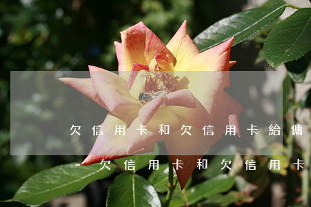 欠信用卡和欠信用卡給傭金的區(qū)別-欠信用卡和欠信用卡給傭金的區(qū)別是什么