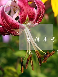 欠信用卡和私人債務(wù)(欠信用卡和私人債務(wù)哪個嚴(yán)重)