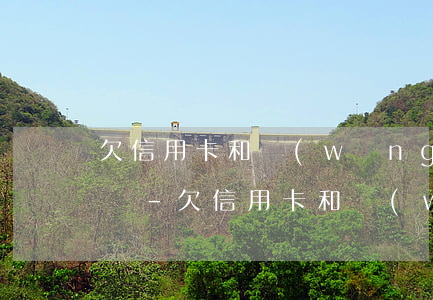 欠信用卡和網(wǎng)貸100萬怎么辦-欠信用卡和網(wǎng)貸100萬怎么辦呢