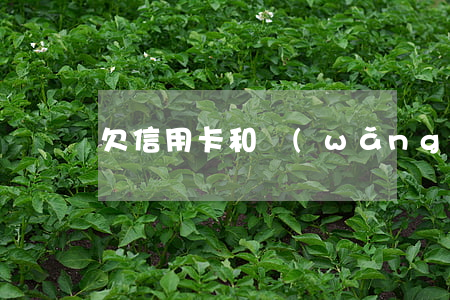 欠信用卡和網(wǎng)貸120多萬