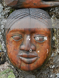 欠信用卡和網(wǎng)貸20多萬(wàn)(欠網(wǎng)貸信用卡14萬(wàn)想死)