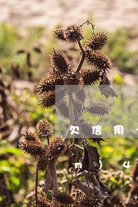 欠信用卡和網(wǎng)貸24萬(wàn)4月份逾期-欠信用卡和網(wǎng)貸24萬(wàn)4月份逾期怎么辦