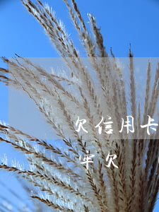欠信用卡和網(wǎng)貸25萬坐幾年牢(欠網(wǎng)貸信用卡50萬要坐幾年牢)