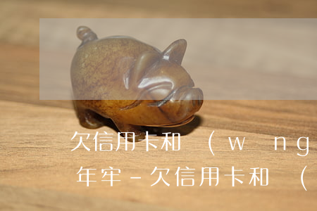 欠信用卡和網(wǎng)貸38萬會坐幾年牢-欠信用卡和網(wǎng)貸三十多萬還不上怎么辦