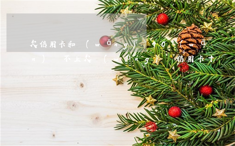 欠信用卡和網(wǎng)貸40萬(wàn)還不上(欠網(wǎng)貸信用卡十幾萬(wàn)還不上怎么辦)