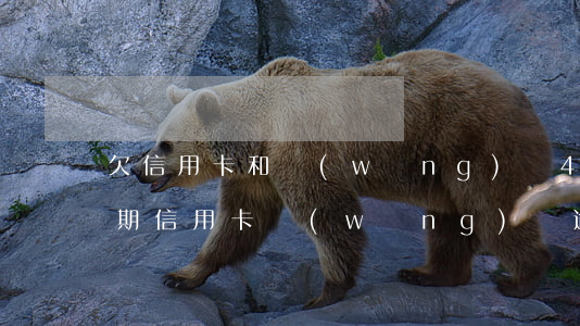 欠信用卡和網(wǎng)貸40萬全面逾期（信用卡網(wǎng)貸逾期28萬）