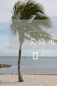 欠信用卡和網(wǎng)貸40萬會怎么樣-