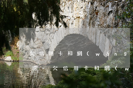 欠信用卡和網(wǎng)貸40萬無力償還-欠信用卡和網(wǎng)貸40萬無力償還怎么辦