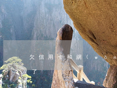 欠信用卡和網(wǎng)貸40萬還不起了