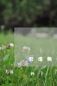欠信用卡和網(wǎng)貸一百萬(wàn)還不上(欠了一大堆網(wǎng)貸信用卡還不上)