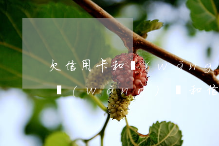 欠信用卡和網(wǎng)貸一直不還后果(網(wǎng)貸和信用卡一直不還會(huì)怎么樣)