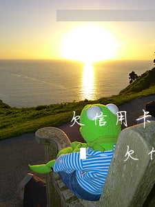 欠信用卡和網(wǎng)貸三十多萬怎么辦-欠信用卡和網(wǎng)貸三十多萬怎么辦呢