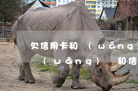 欠信用卡和網(wǎng)貸三十萬怎么辦(網(wǎng)貸和信用卡欠了十幾萬,應(yīng)該怎么辦?)