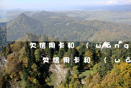 欠信用卡和網(wǎng)貸五十萬沒能力還(欠信用卡和網(wǎng)貸五十萬沒能力還)