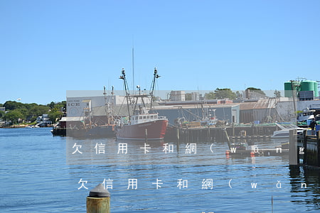 欠信用卡和網(wǎng)貸可以貸房貸嗎(欠信用卡和網(wǎng)貸可以貸房貸嗎)