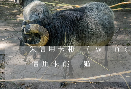 欠信用卡和網(wǎng)貸可以離婚嗎(欠信用卡能離婚嗎)
