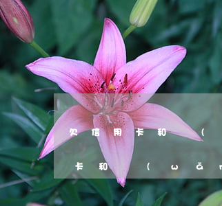 欠信用卡和網(wǎng)貸坐牢了(欠信用卡和網(wǎng)貸會(huì)坐牢嗎)