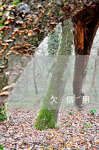 欠信用卡和網(wǎng)貸多久凍結(jié)微信(網(wǎng)貸欠款會(huì)凍結(jié)微信嗎)