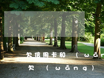 欠信用卡和網(wǎng)貸多久會成老賴(欠網(wǎng)貸和欠銀行信用卡哪個嚴重)