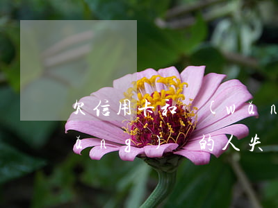 欠信用卡和網(wǎng)貸失蹤(欠網(wǎng)貸的人失蹤了怎么辦)