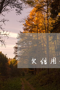 欠信用卡和網(wǎng)貸如何處理