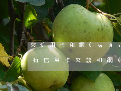 欠信用卡和網(wǎng)貸影響貸款房嗎(有信用卡欠款和網(wǎng)貸可以辦房貸嗎)