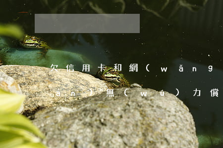 欠信用卡和網(wǎng)貸很多錢(qián)無(wú)力償還(信用卡網(wǎng)貸確實(shí)無(wú)償還能力咋辦)