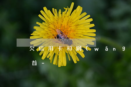 欠信用卡和網(wǎng)貸怎么樣才能自首-