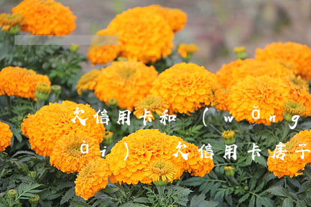 欠信用卡和網(wǎng)貸房子能賣(mài)嗎(欠信用卡房子還能賣(mài)嗎)
