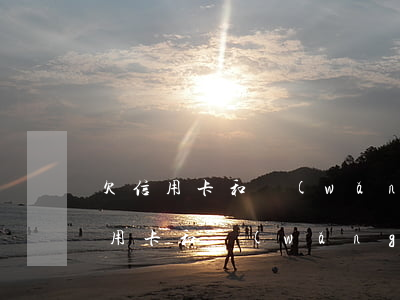 欠信用卡和網(wǎng)貸本人死亡(欠信用卡和網(wǎng)貸死了還要償還嗎)