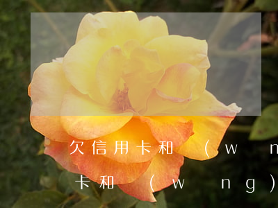 欠信用卡和網(wǎng)貸沒錢還(欠信用卡和網(wǎng)貸沒錢還怎么辦)