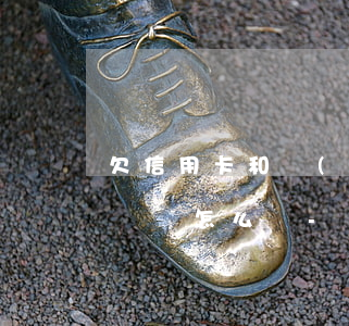 欠信用卡和網(wǎng)貸無(wú)力償還怎么辦-
