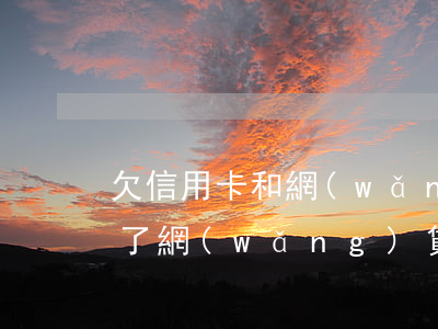 欠信用卡和網(wǎng)貸的立案性質(欠了網(wǎng)貸信用卡)