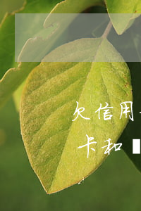 欠信用卡和網(wǎng)貸的貼吧(欠信用卡和網(wǎng)貸的貼吧)