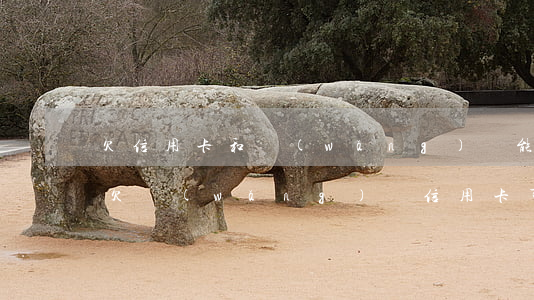 欠信用卡和網(wǎng)貸能不能住賓館(欠網(wǎng)貸信用卡可以坐飛機(jī)嗎)