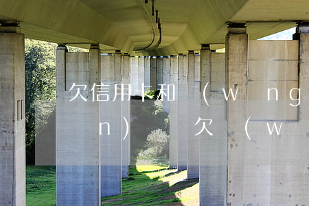 欠信用卡和網(wǎng)貸能進監(jiān)獄嗎(欠網(wǎng)貸會進監(jiān)獄嗎)