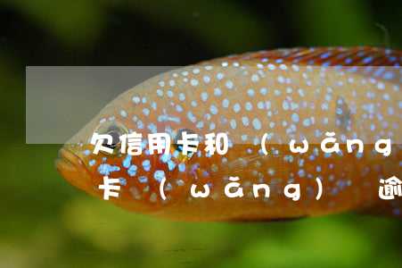 欠信用卡和網(wǎng)貸逾期一年(信用卡網(wǎng)貸逾期一年會怎么樣)